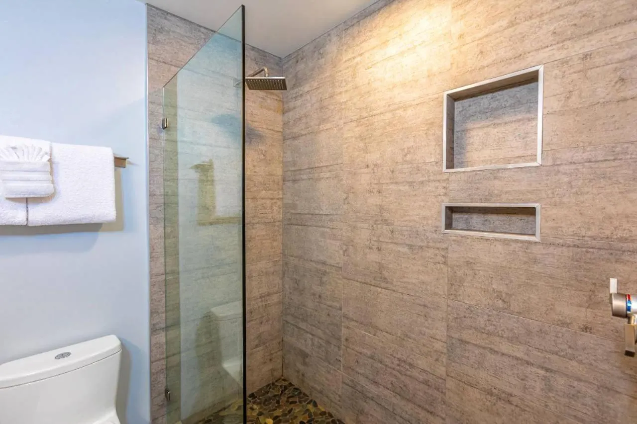 Vakantiehuis Wailea Ekolu One Bedrooms By Coldwell Banker Island Vacations Verenigde Staten