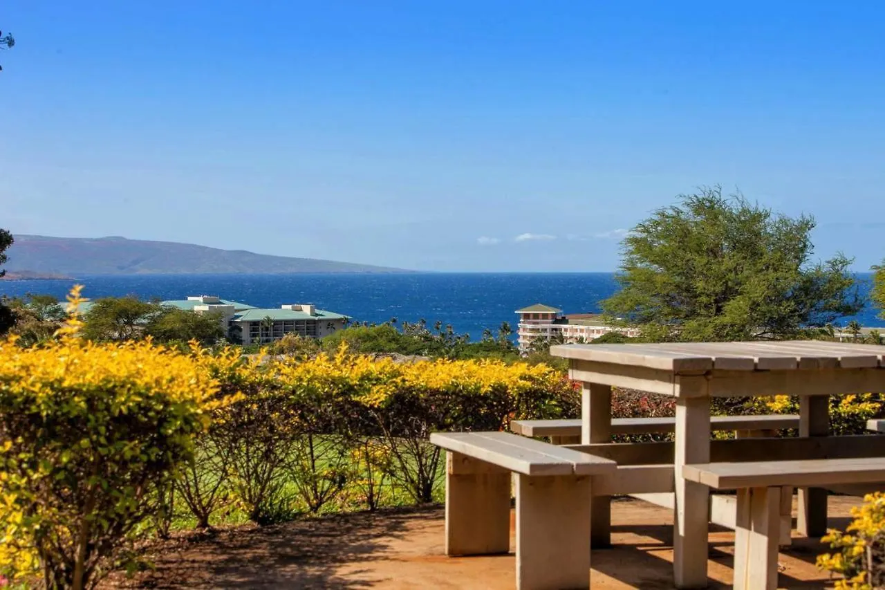 Vakantiehuis Wailea Ekolu One Bedrooms By Coldwell Banker Island Vacations