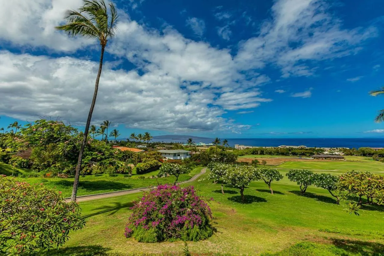 Vakantiehuis Wailea Ekolu One Bedrooms By Coldwell Banker Island Vacations Verenigde Staten