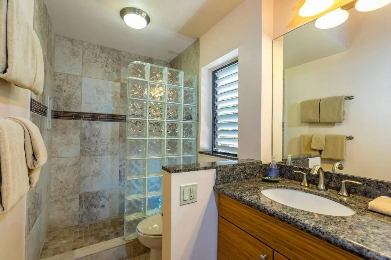 Vakantiehuis Wailea Ekolu One Bedrooms By Coldwell Banker Island Vacations